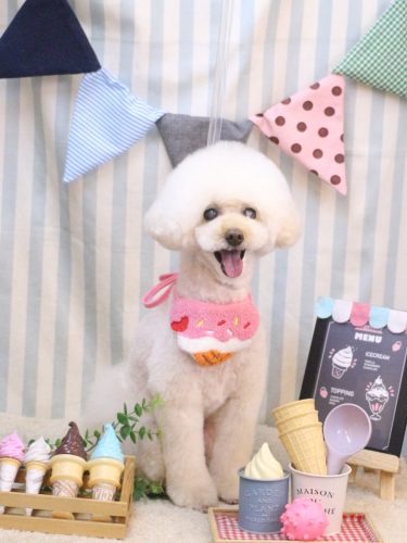 20250516ピッピちゃん